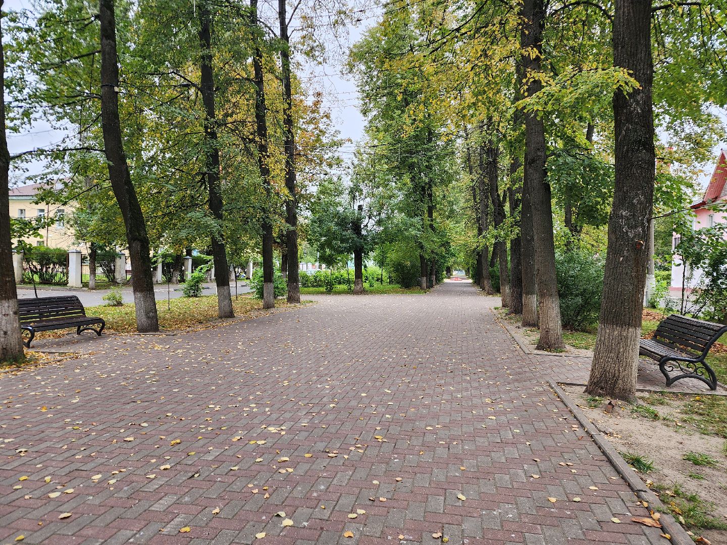 фрязино, новые лавочки, аллея, благоустройство,