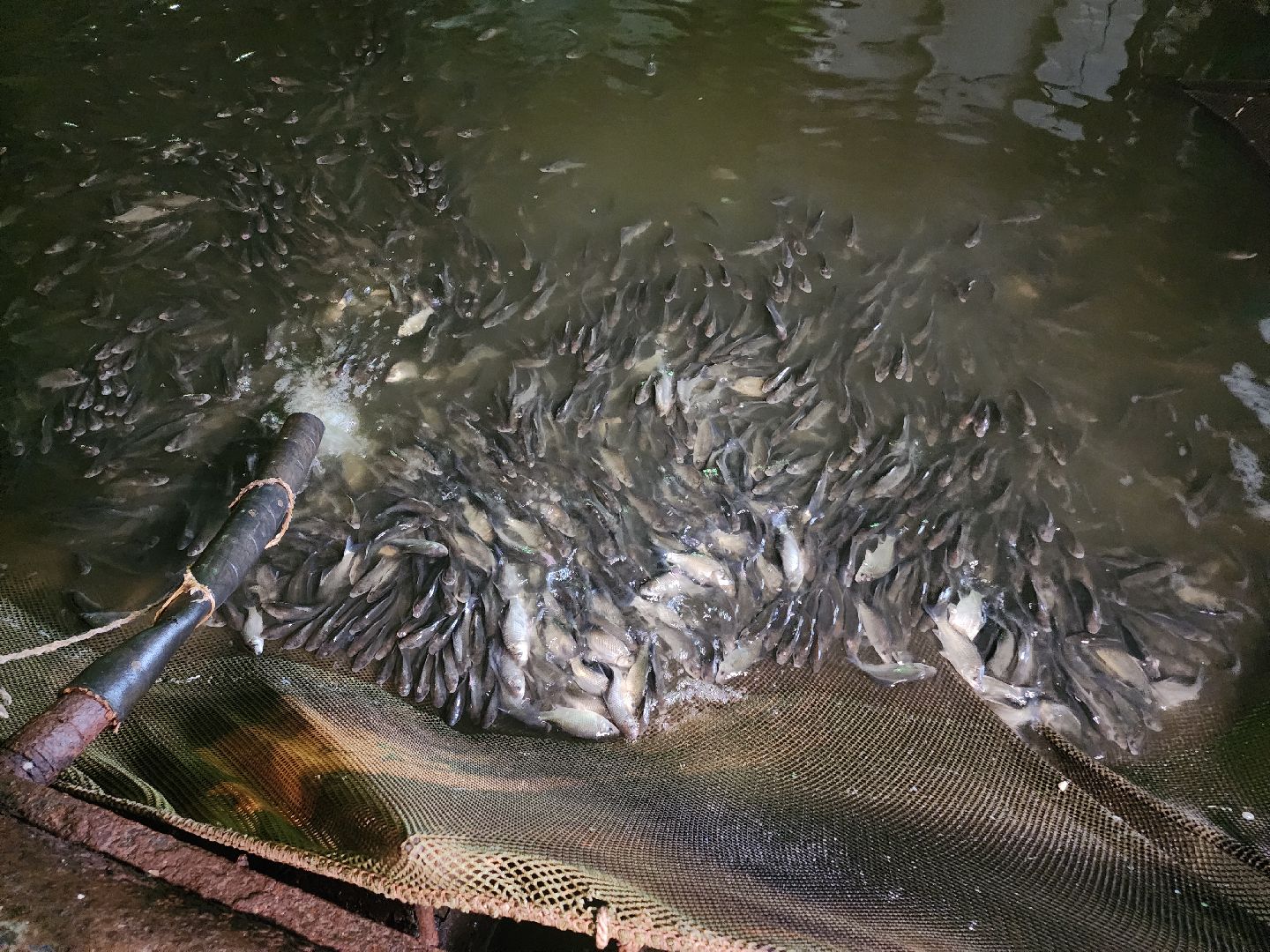 Егорьевск , Подмосковье , Московская область ,