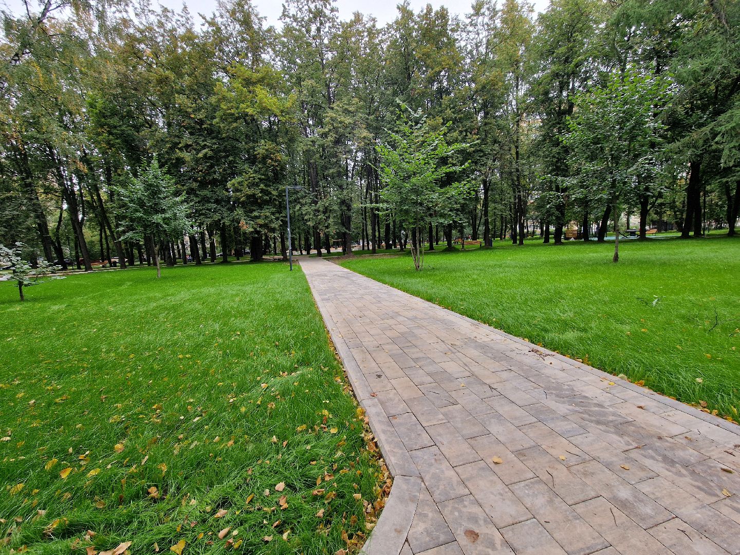 сквер на крупешина в балашихе, благоустройство, балашиха,