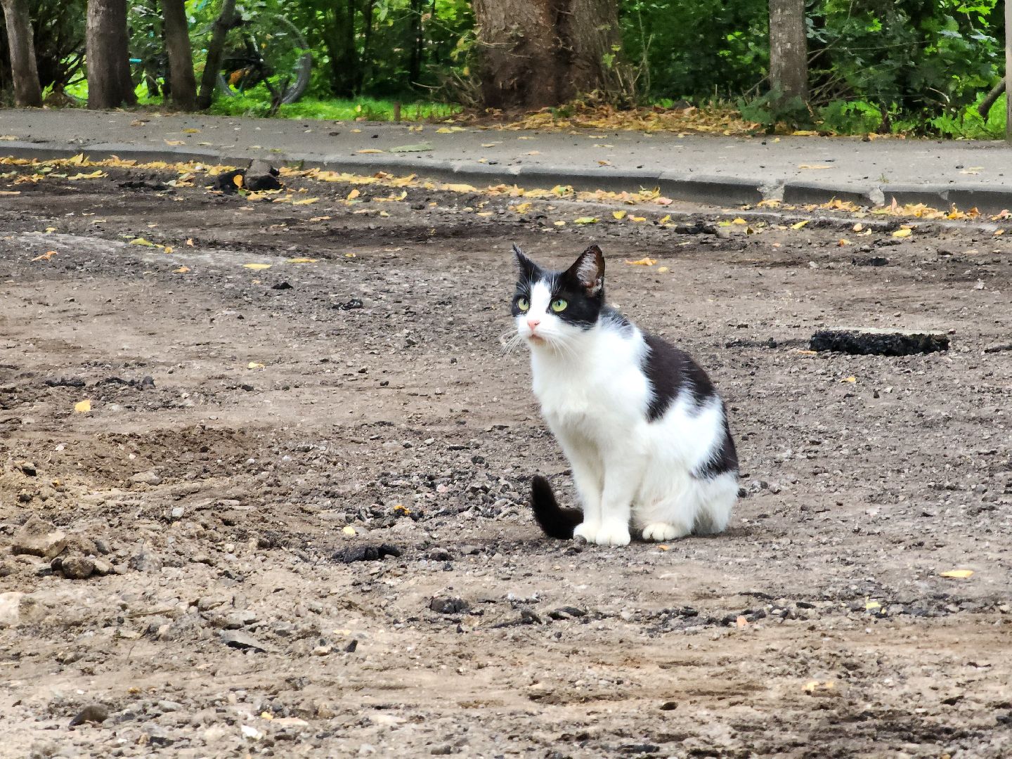 благоустройство, благоустройство дворовой территории, комфортная городская среда, старая купавна, богородский городской округ,