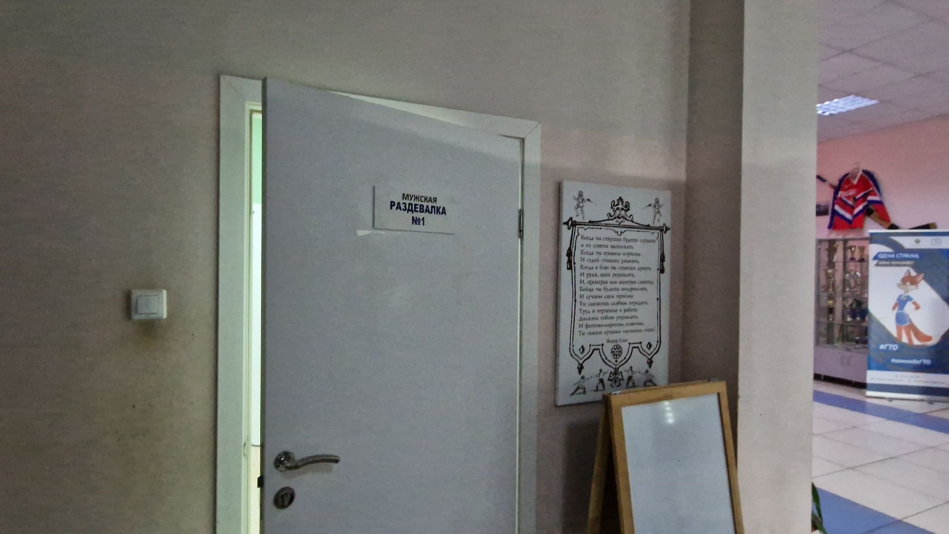 Дубна, Ремонт, Обновлениезалафехтования,