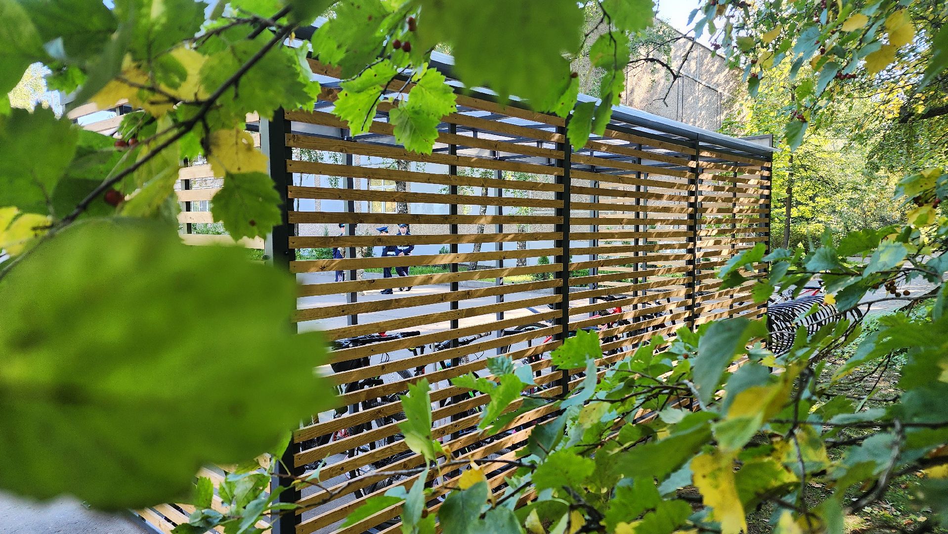 Реутов, парковка, образование, парковка для школьников, школа 1,