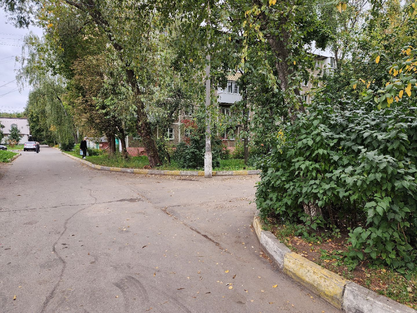 раменское, общество, прием жителей заместителями главы округа,