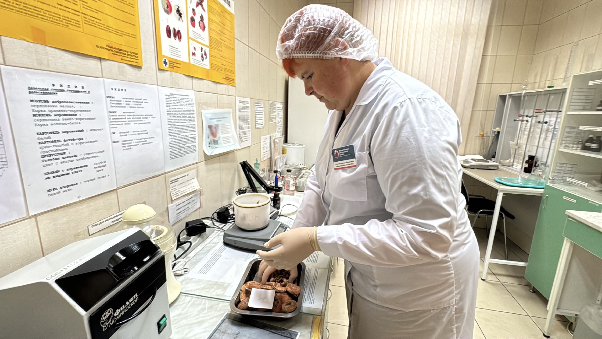 одинцовское подворье, Сезон грибов, Ветлаборатория Одинцова,