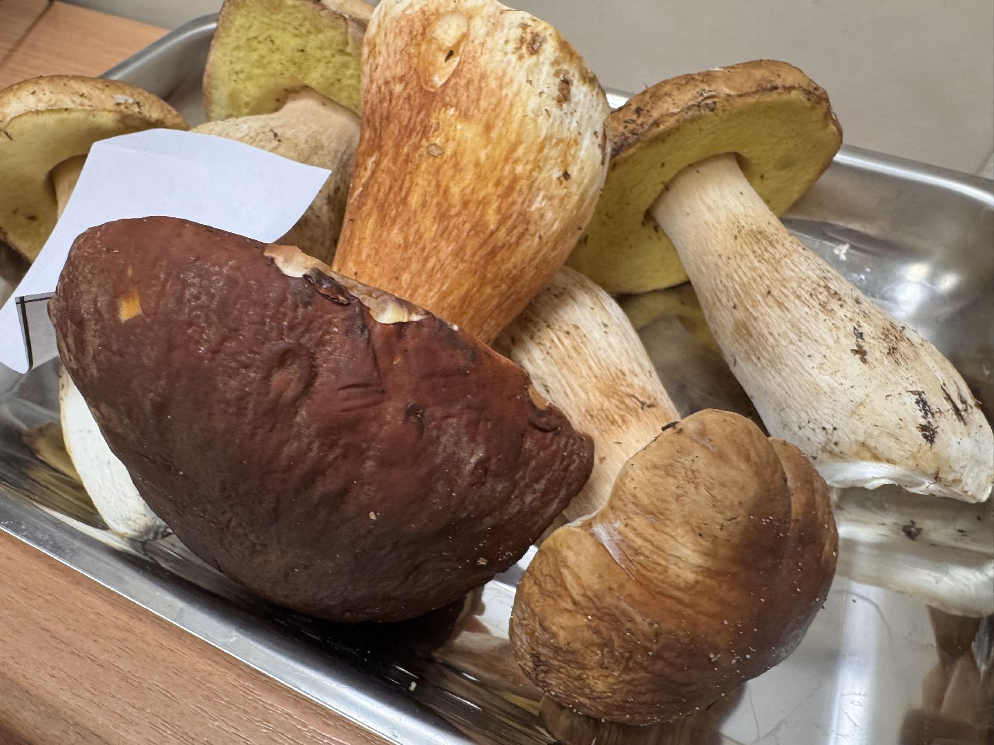 одинцовское подворье, Сезон грибов, Ветлаборатория Одинцова,