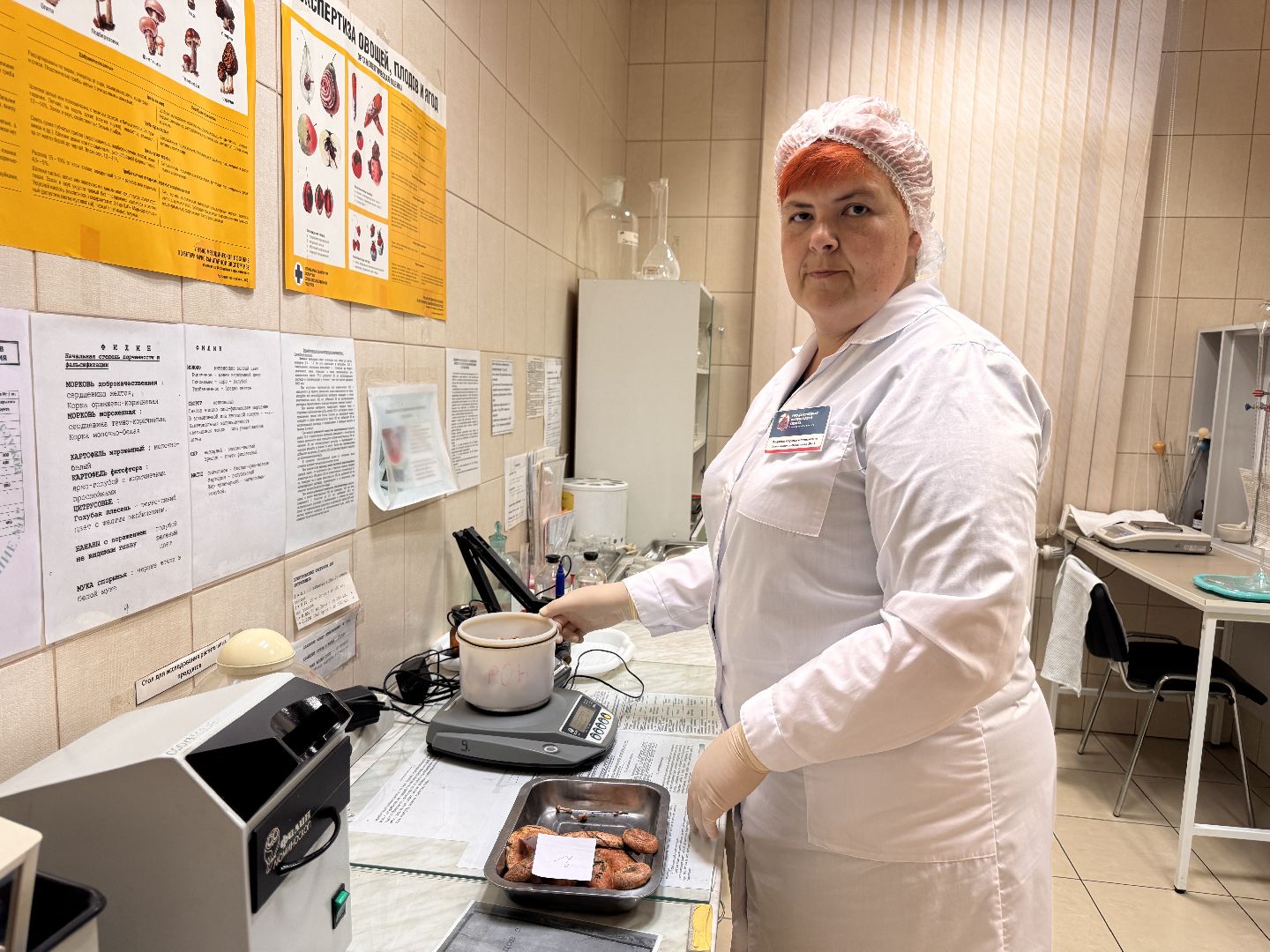 одинцовское подворье, Сезон грибов, Ветлаборатория Одинцова,