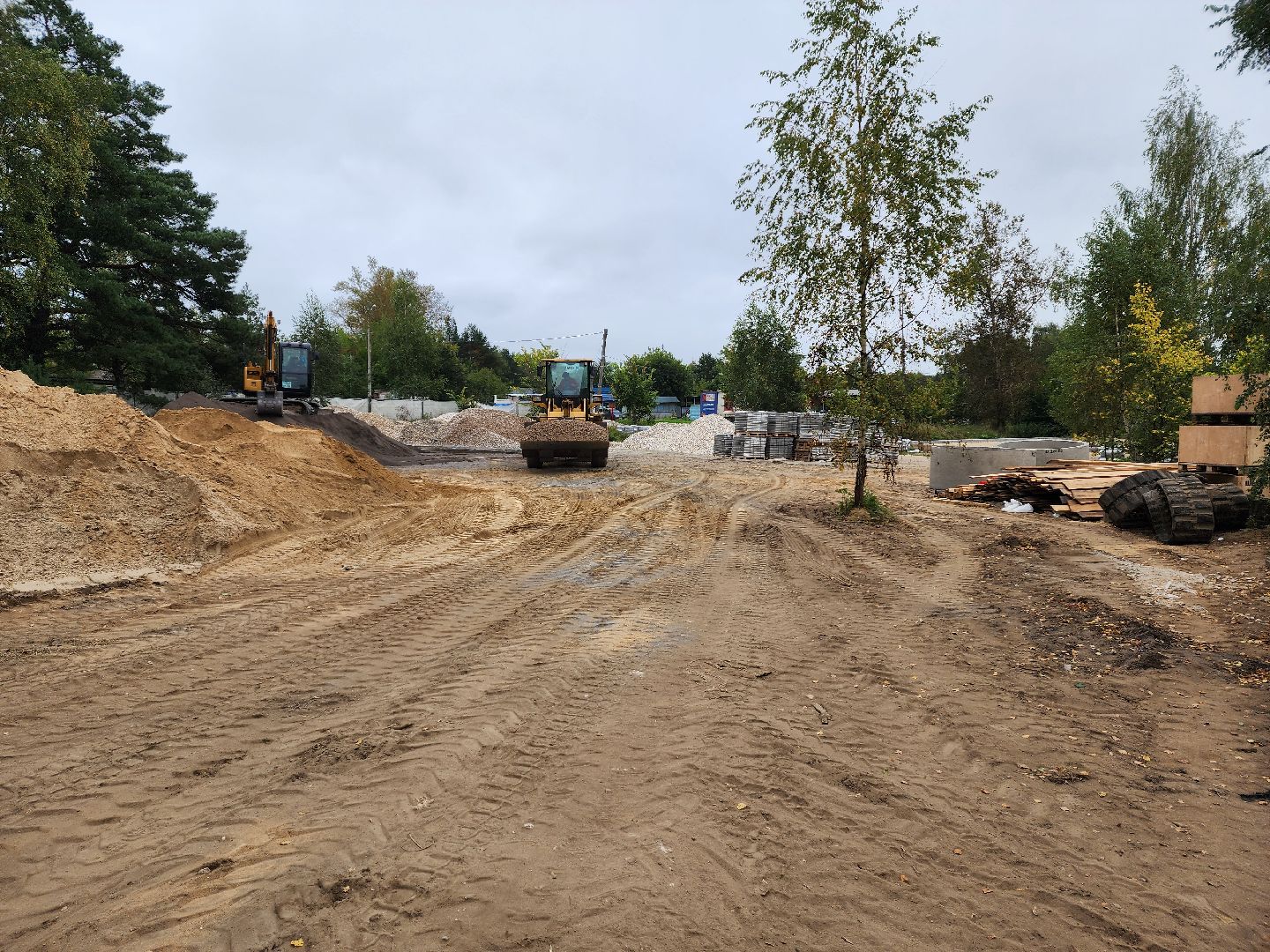 красноармейск, городской округ пушкинский, банный лес, лесопарк,