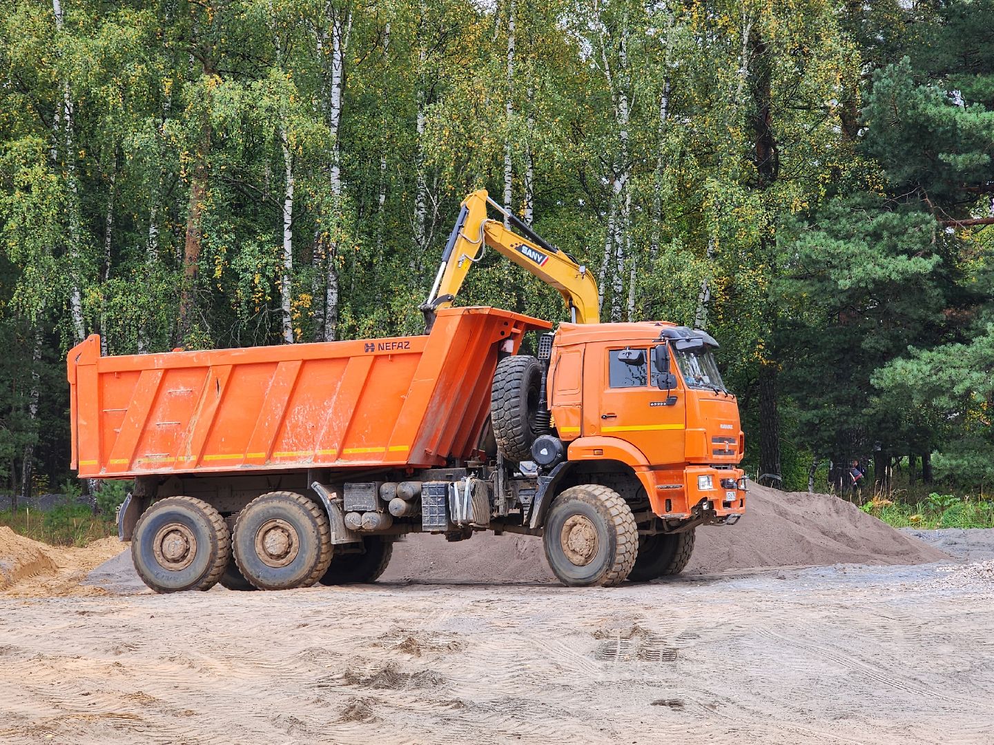 красноармейск, городской округ пушкинский, банный лес, лесопарк,