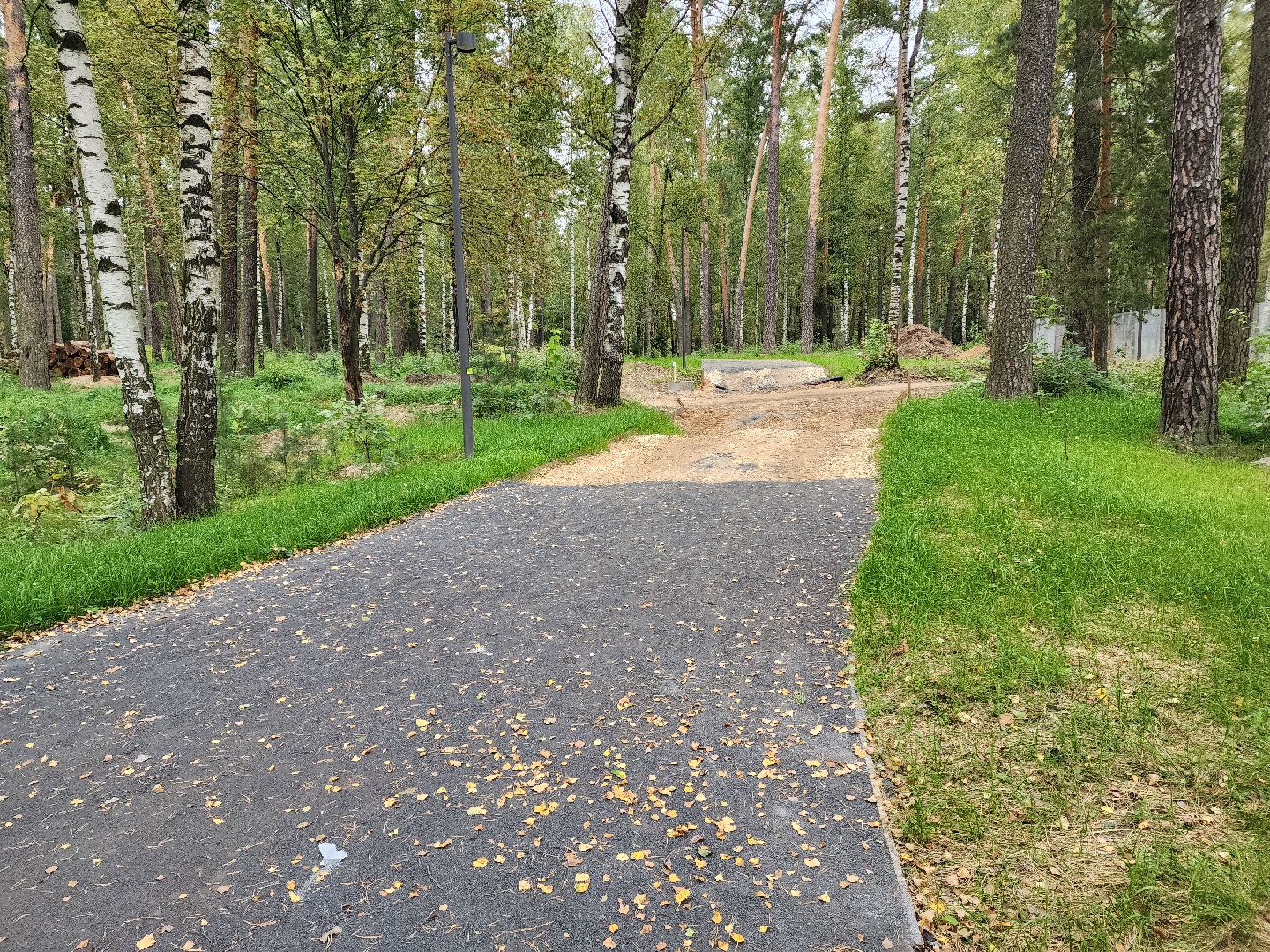 красноармейск, городской округ пушкинский, банный лес, лесопарк,