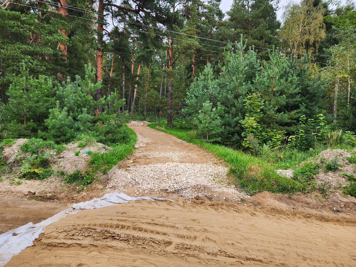 красноармейск, городской округ пушкинский, банный лес, лесопарк,
