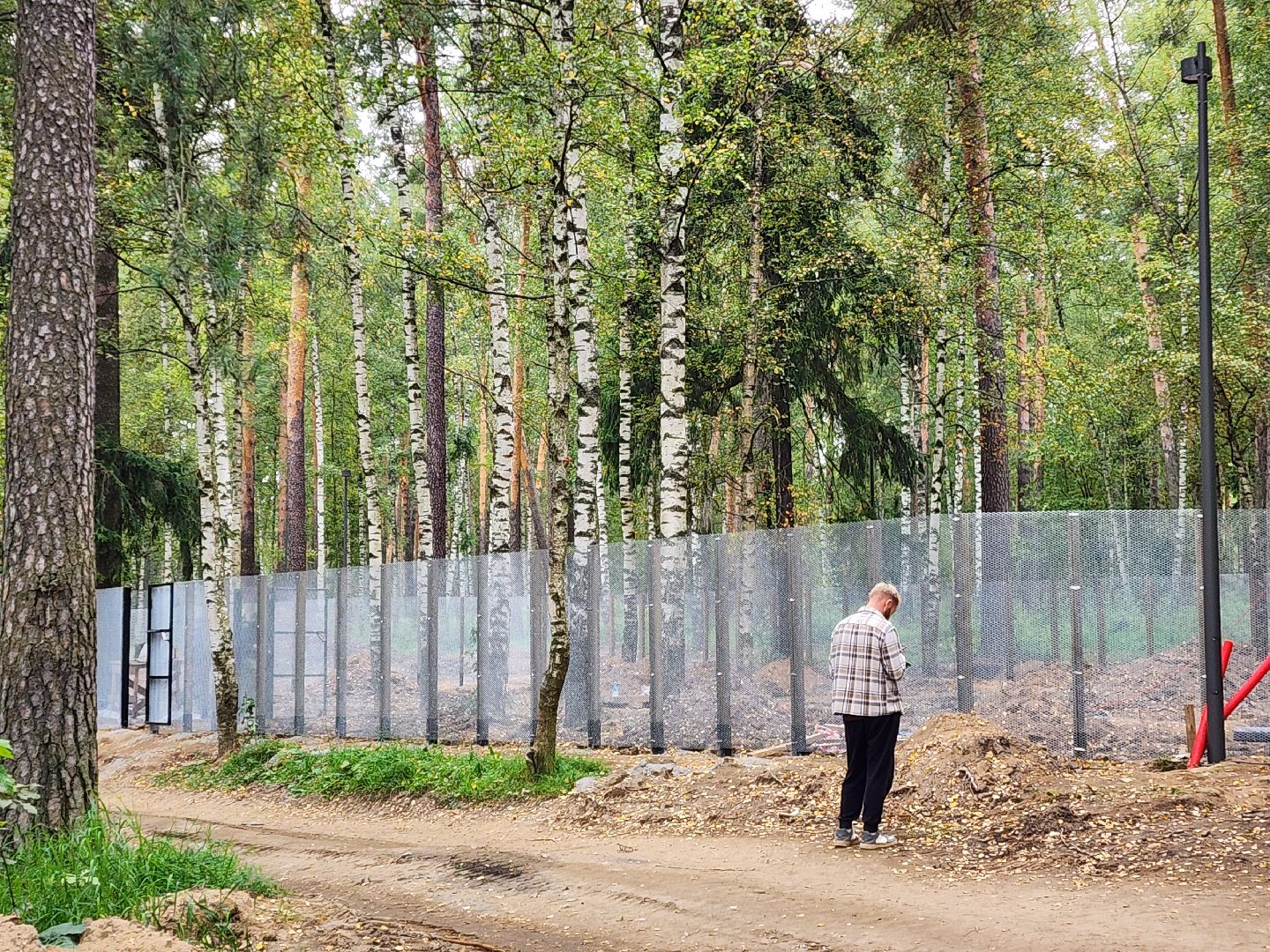 красноармейск, городской округ пушкинский, банный лес, лесопарк,