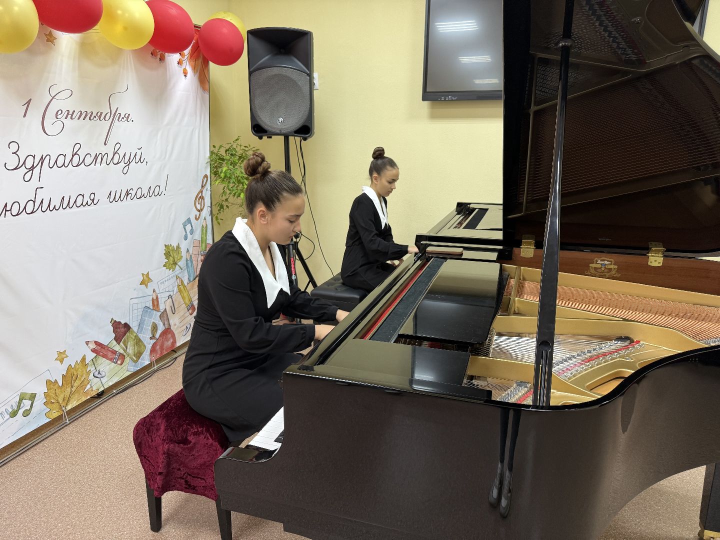 Люберцы, детская школа искусств, Музыканты, Музыкальные инструменты ,