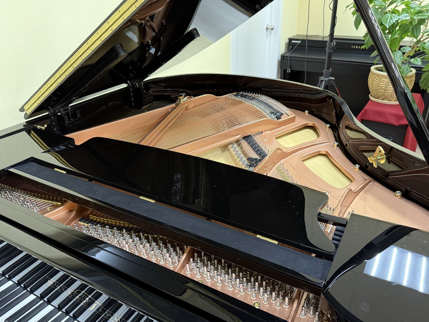 Люберцы, детская школа искусств, Музыканты, Музыкальные инструменты ,