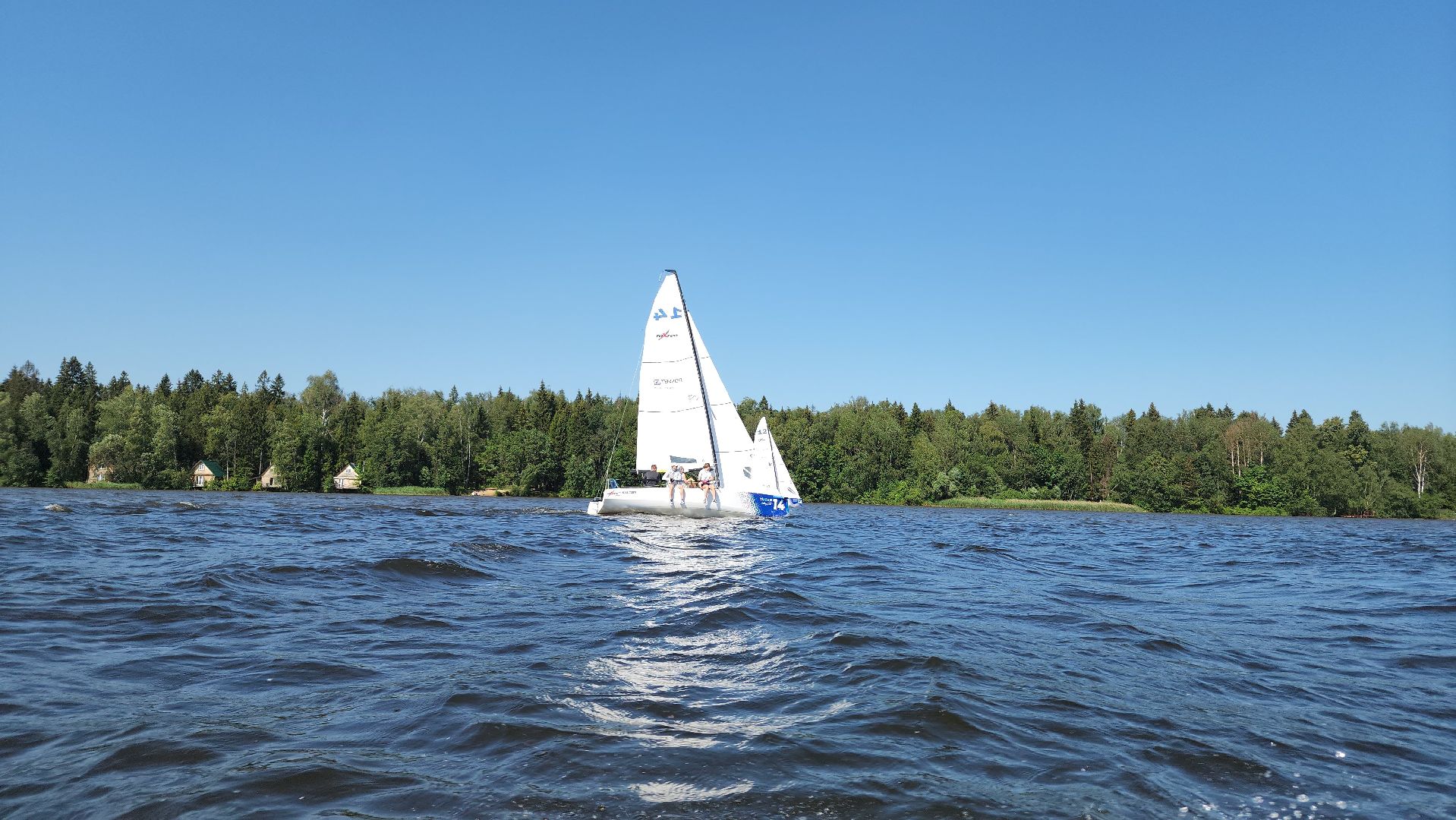 мытищи, регата,