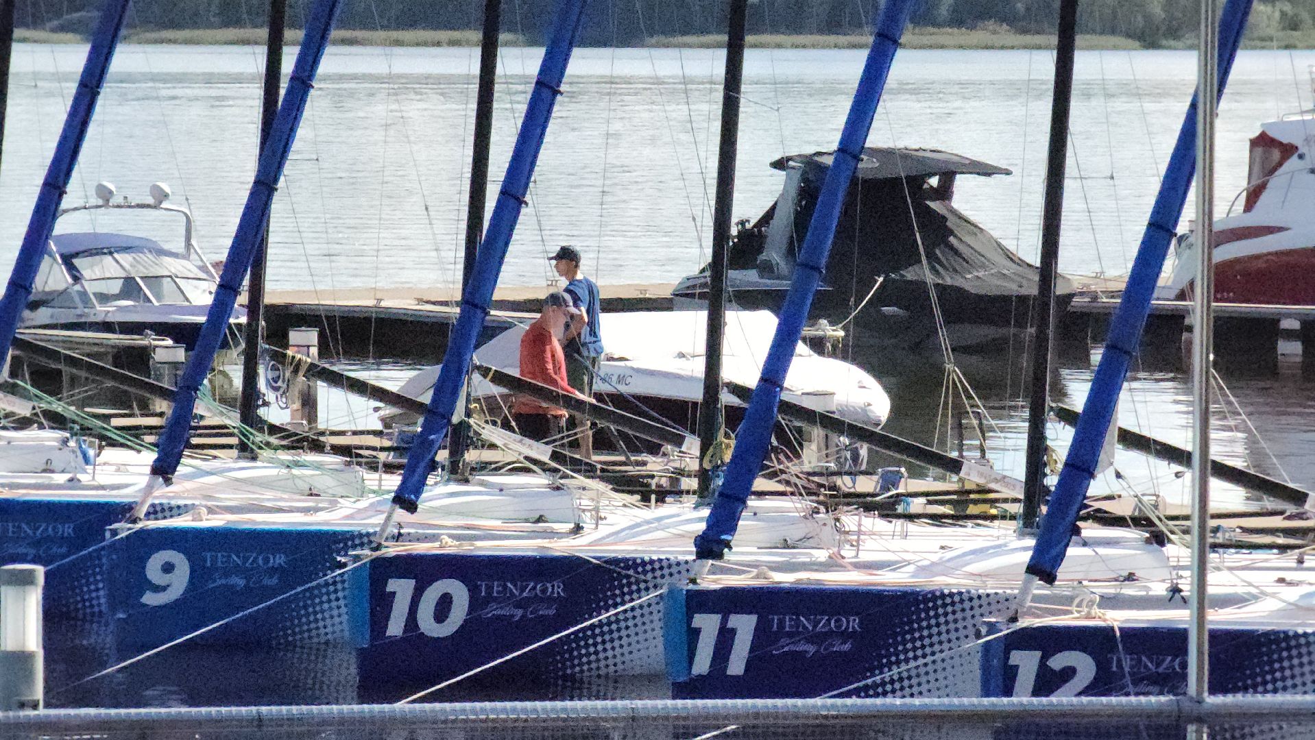 мытищи, регата,