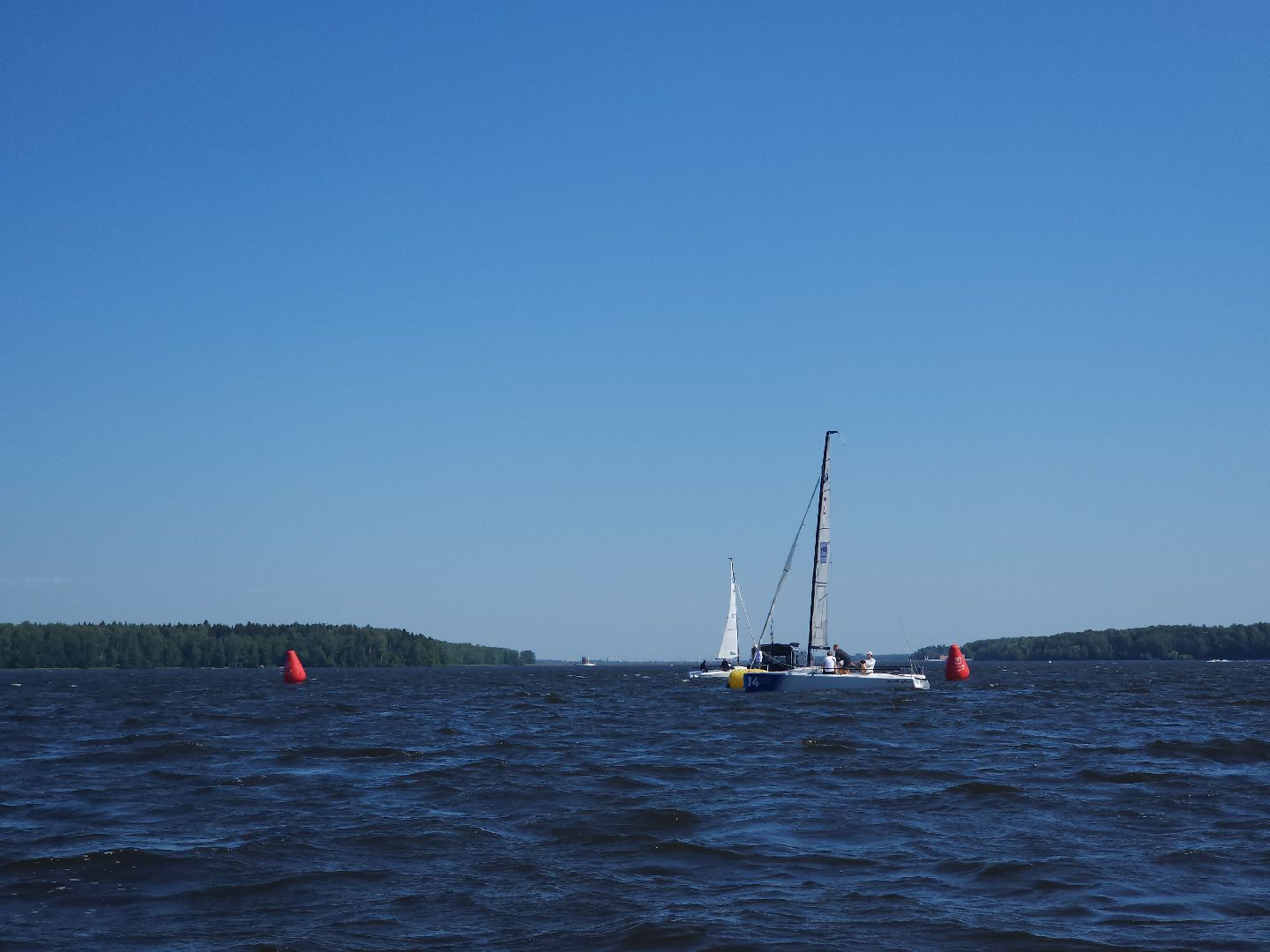 мытищи, регата,