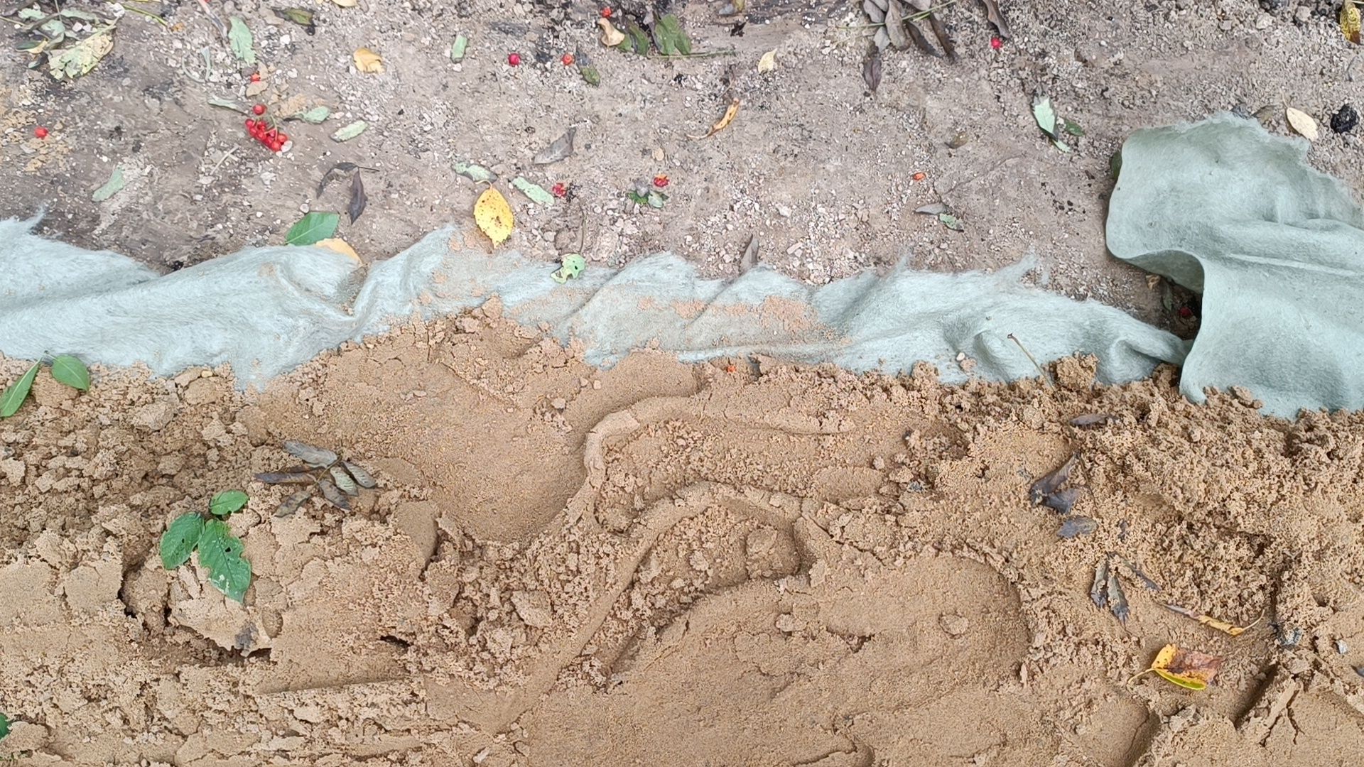 сквер, благоустройство, лобня,