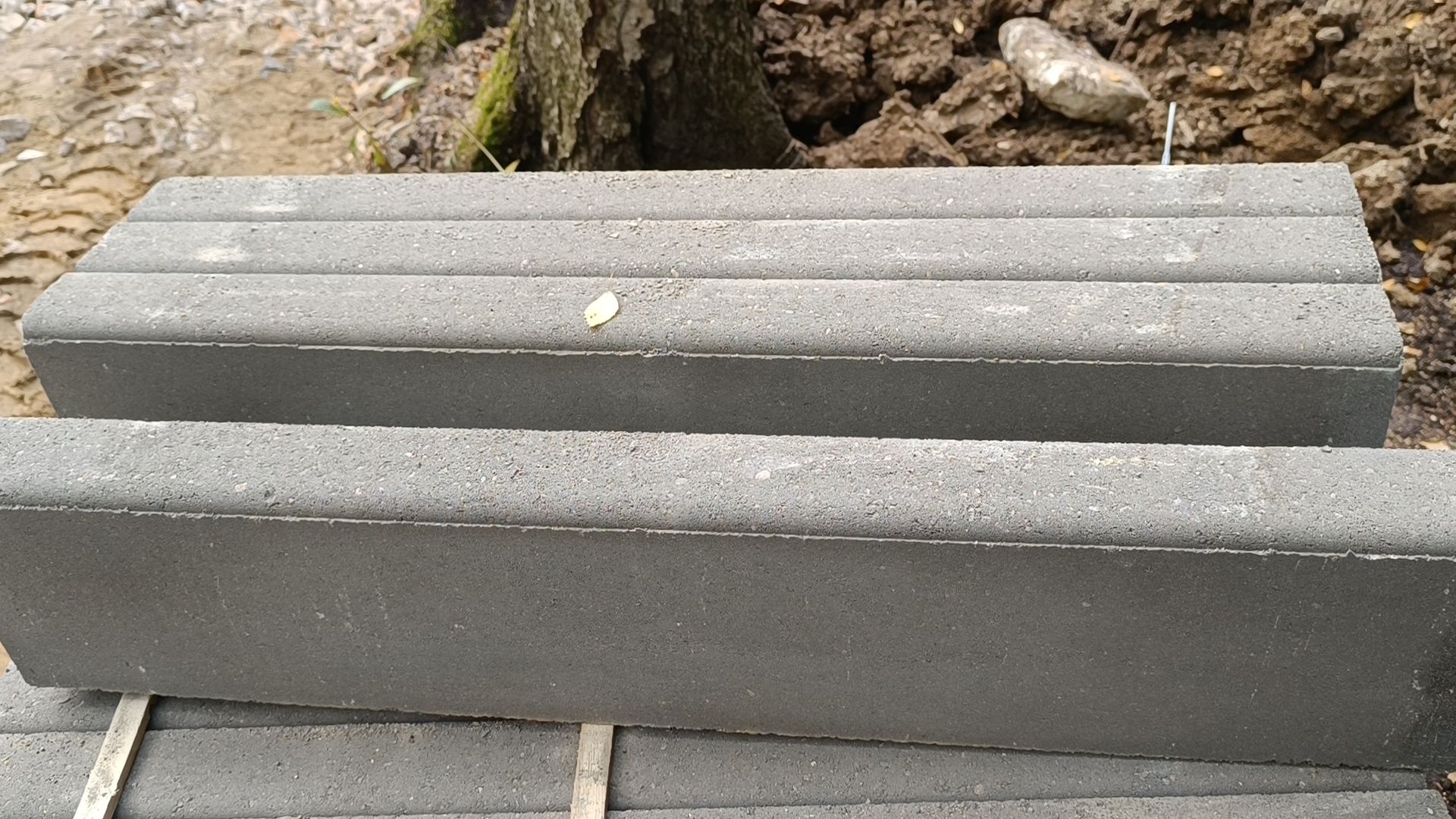 сквер, благоустройство, лобня,