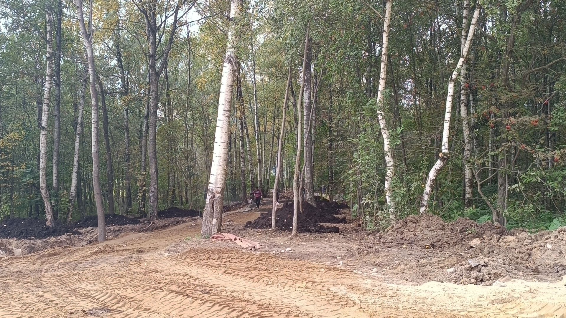 сквер, благоустройство, лобня,