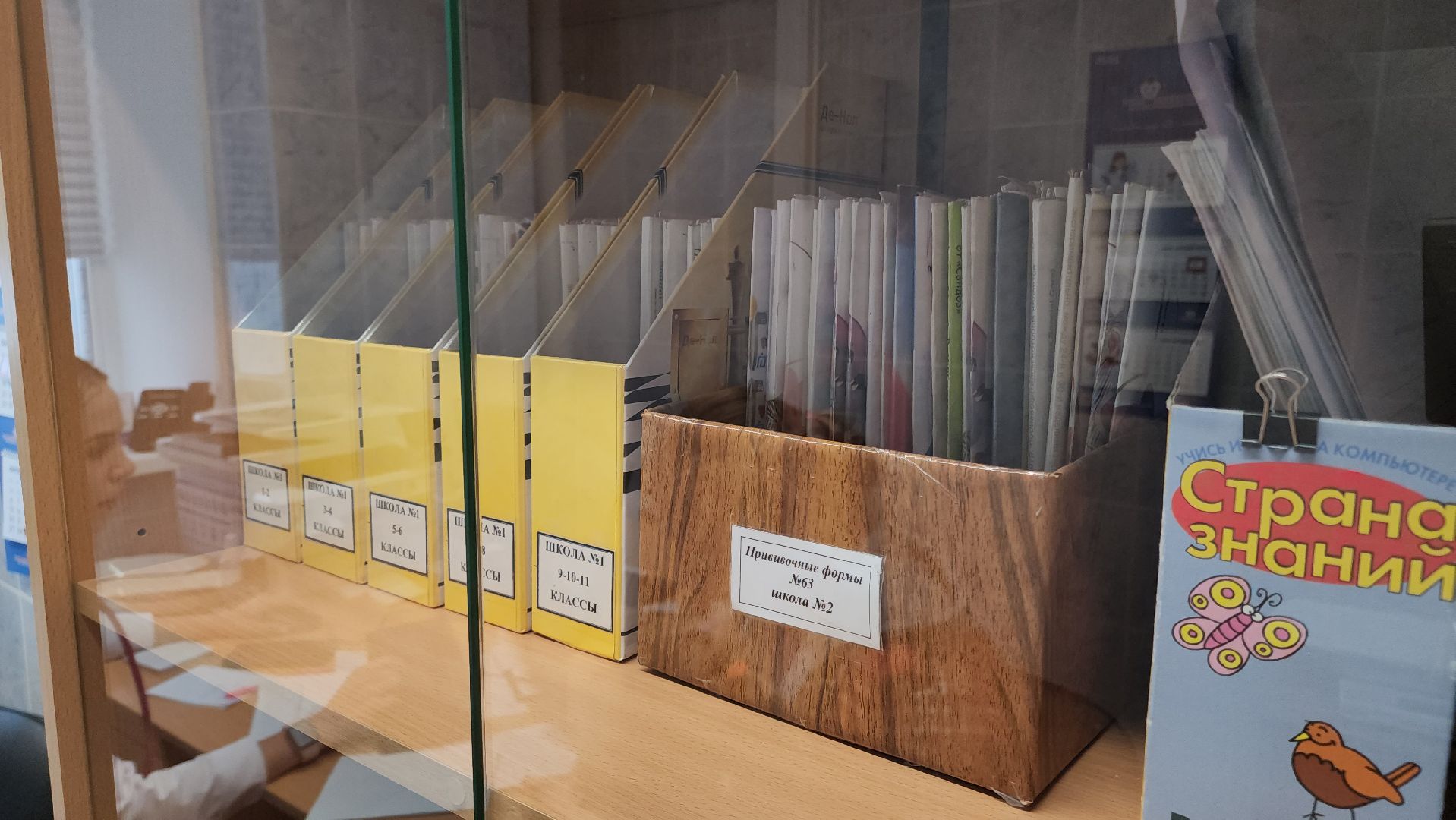 кашира, медицина , дети, педиатр, молодые специалисты, каширская больница, поликлиника,