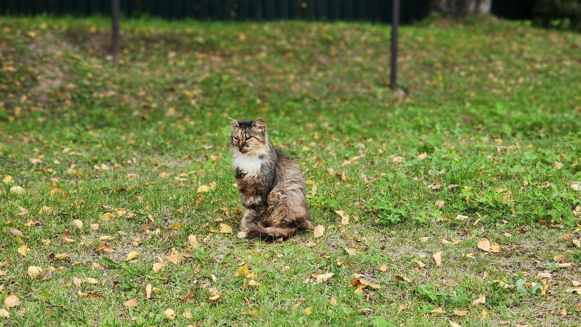 волоколамск, панфиловцы,