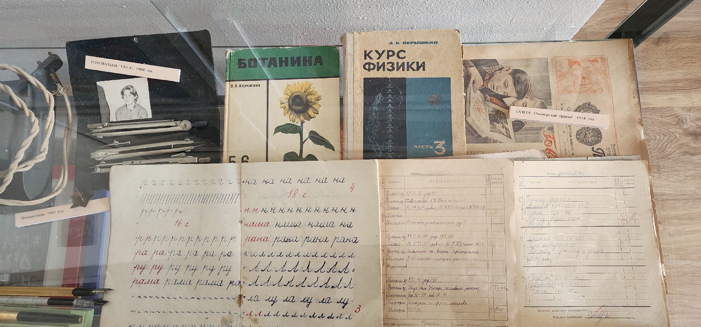 Образование, Доролнительное образование, Общество ,