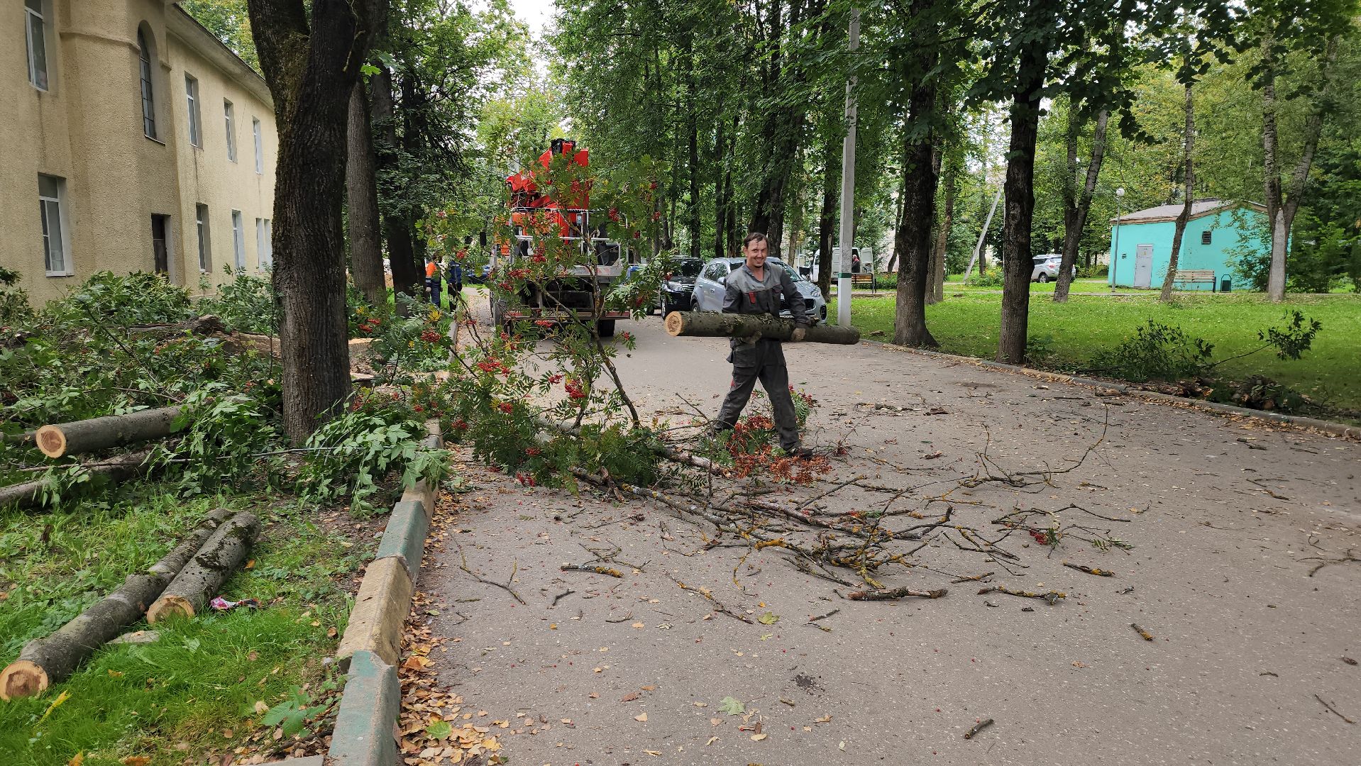 Руза, Тучково , благоустройство, аварийные деревья,