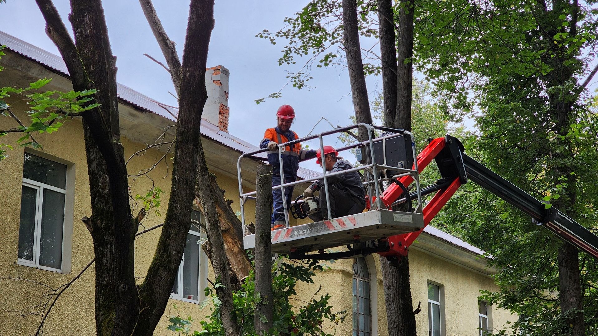 Руза, Тучково , благоустройство, аварийные деревья,