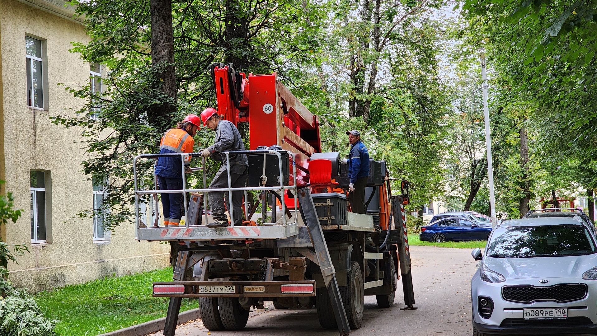 Руза, Тучково , благоустройство, аварийные деревья,