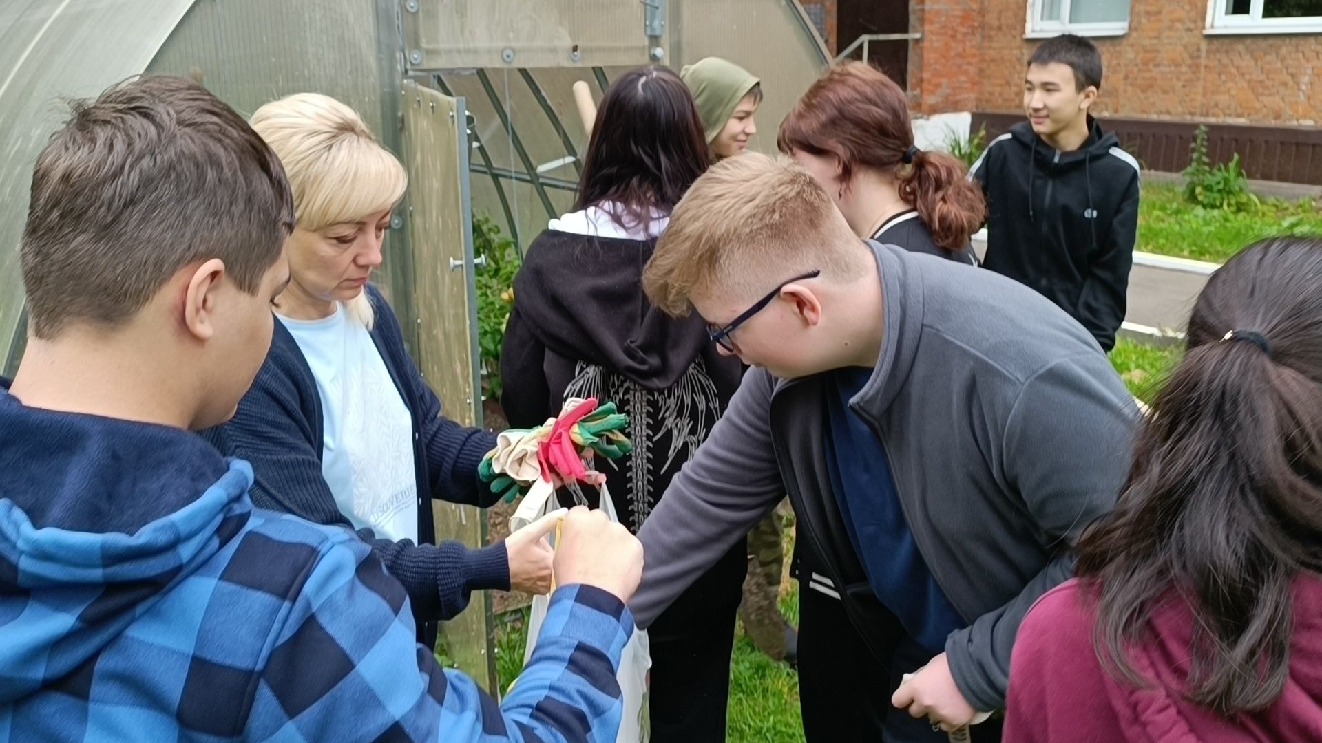 лобня, школа, урожай, овз,