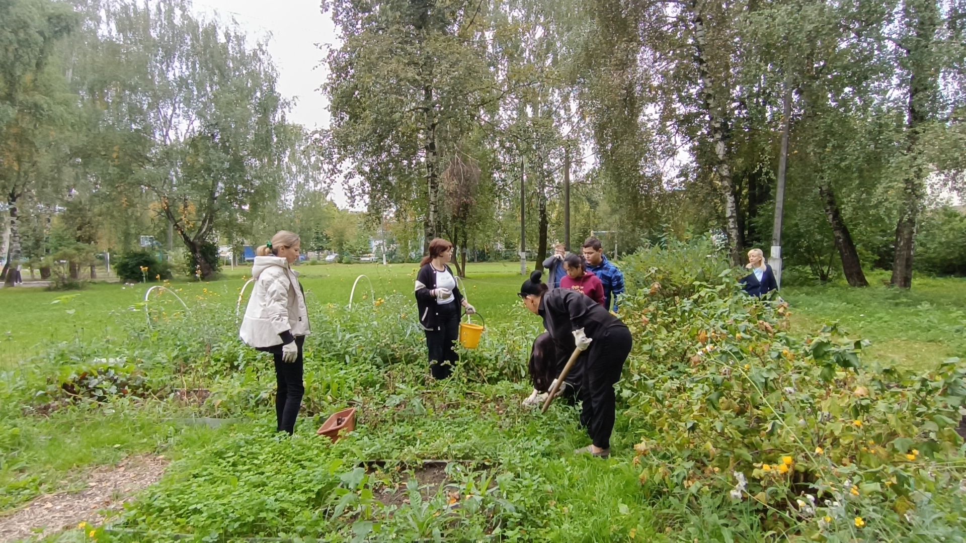 лобня, школа, урожай, овз,