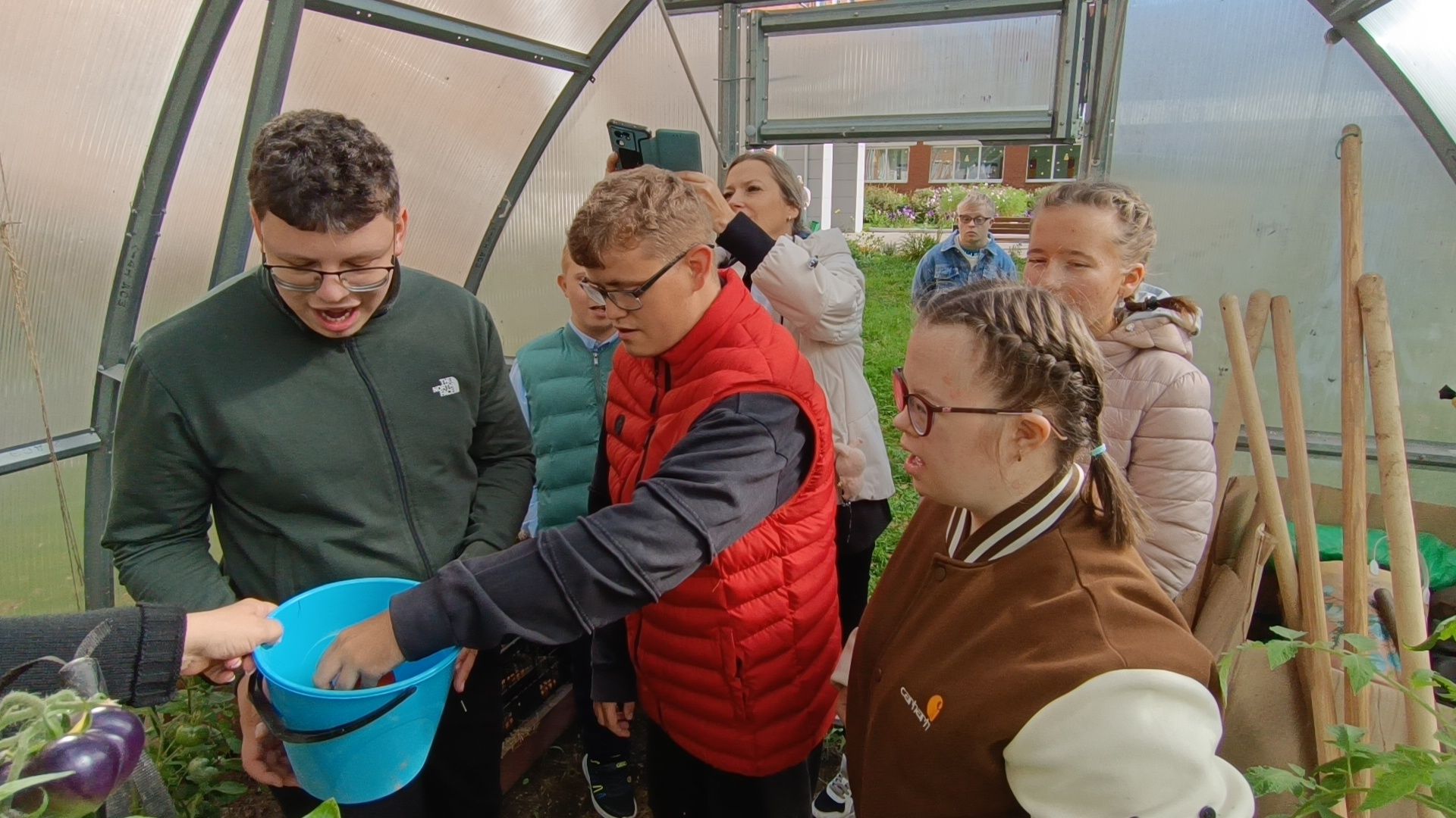 лобня, школа, урожай, овз,