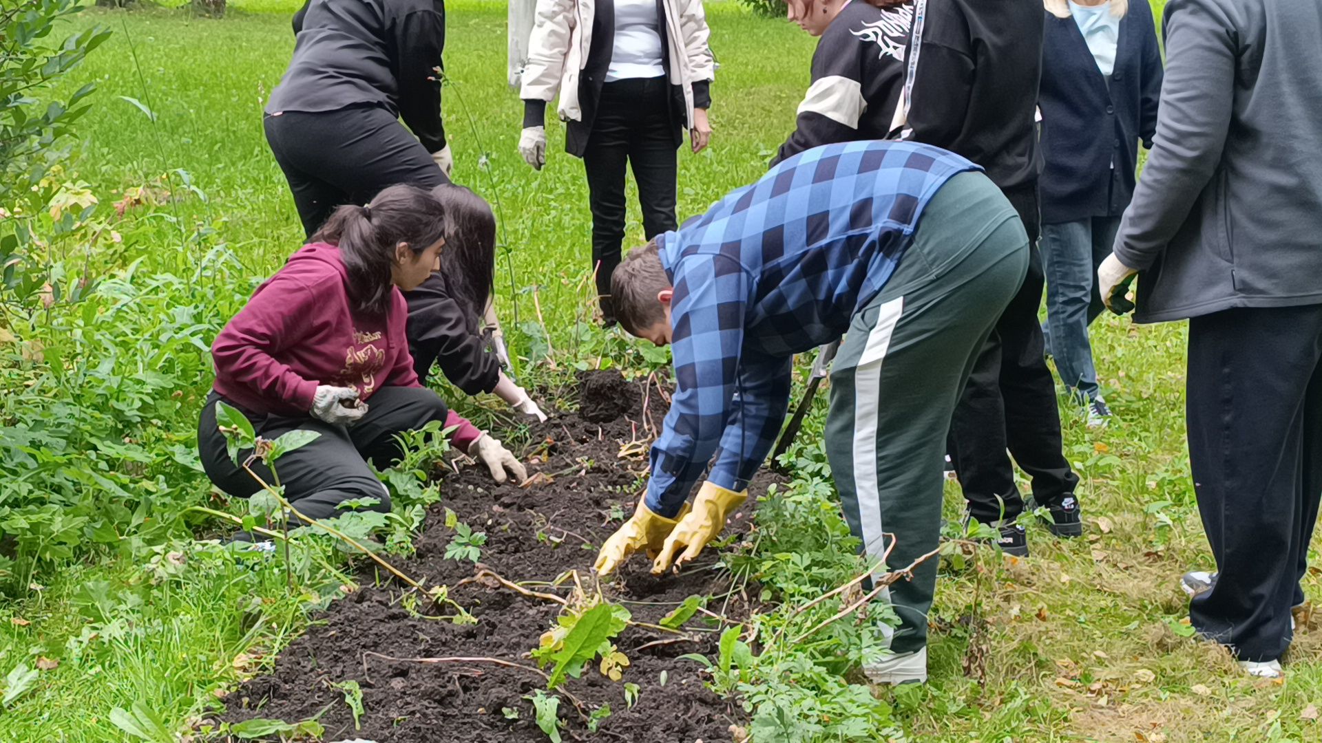 лобня, школа, урожай, овз,