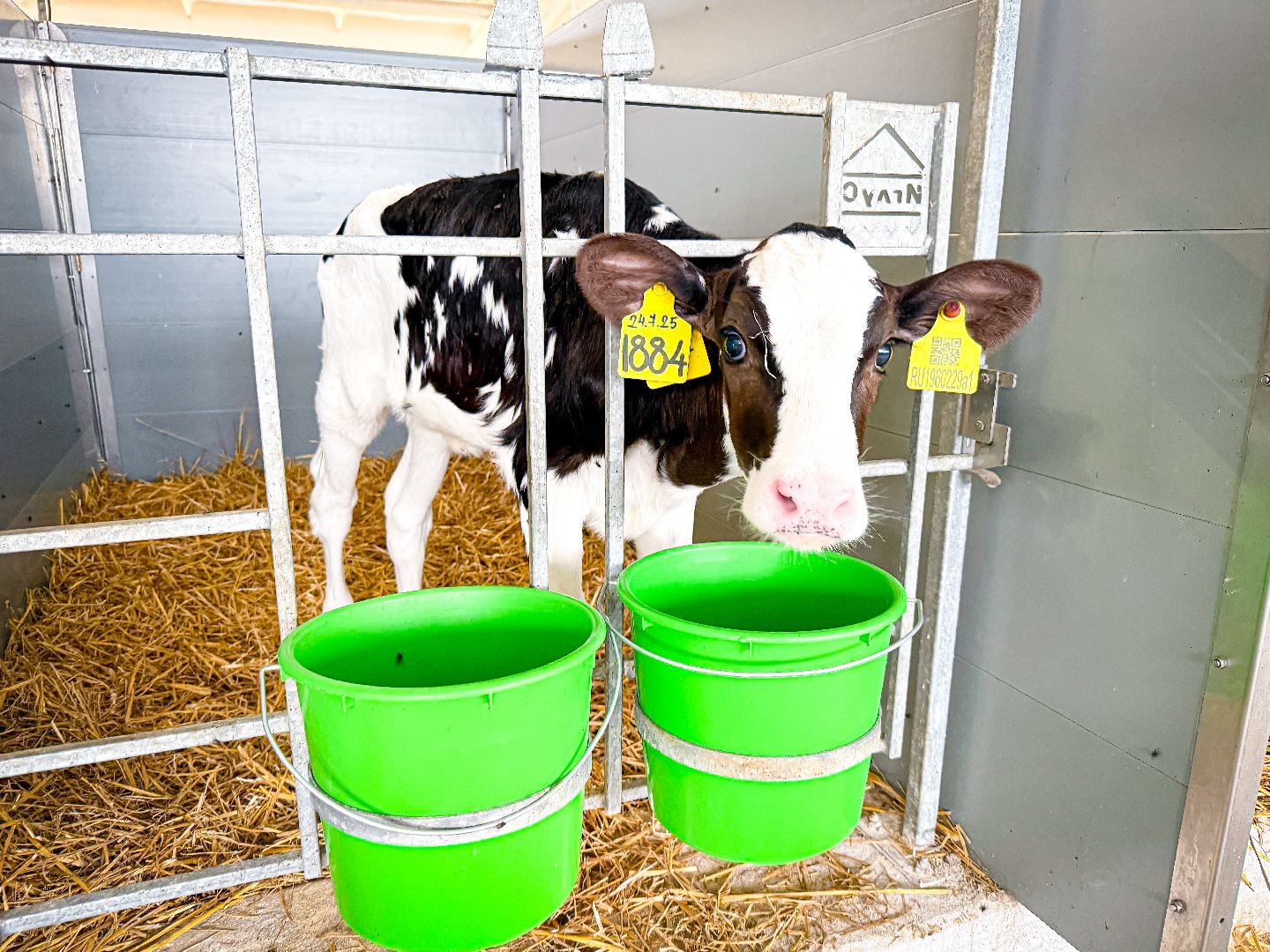 клин, экономика, строительство, сельское хозяйство, производство молока,