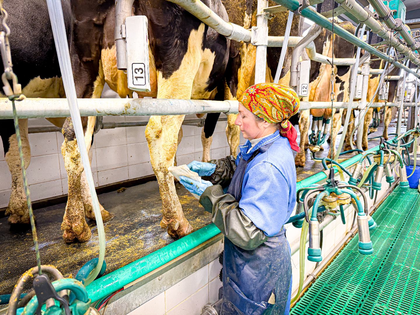 клин, экономика, строительство, сельское хозяйство, производство молока,