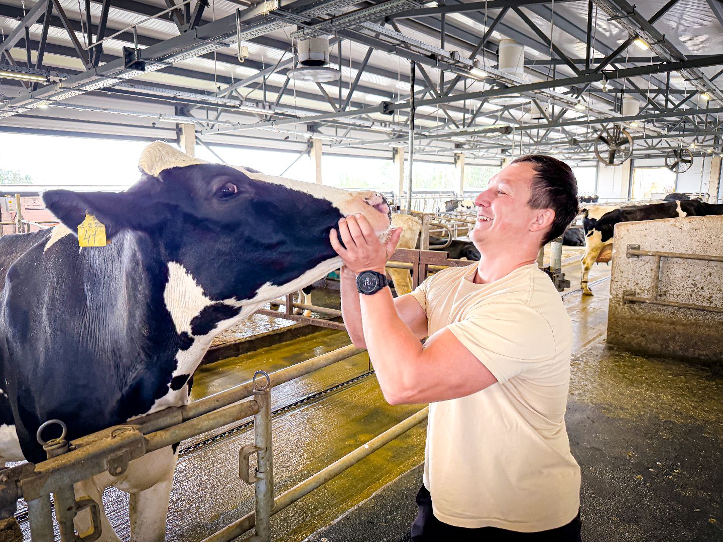 клин, экономика, строительство, сельское хозяйство, производство молока,