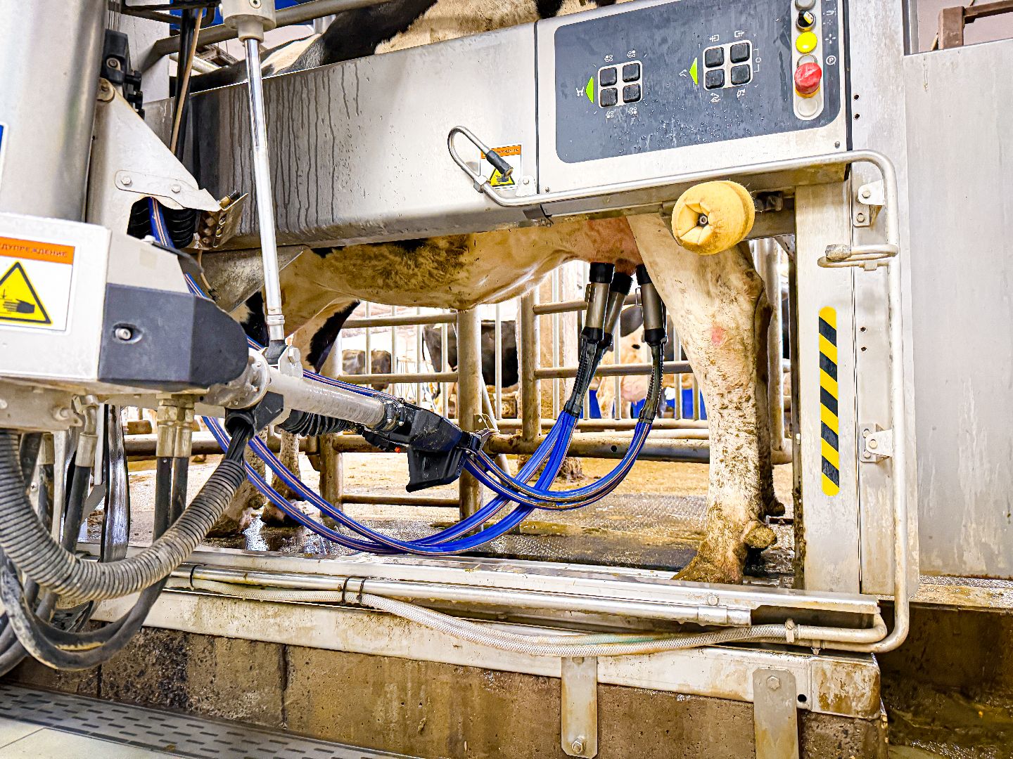 клин, экономика, строительство, сельское хозяйство, производство молока,