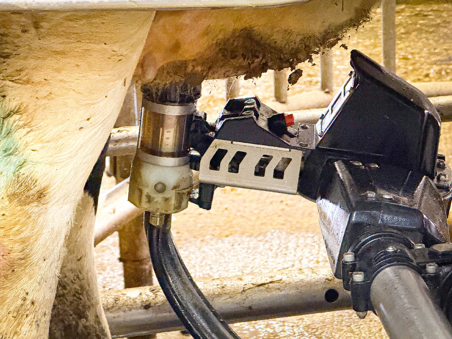 клин, экономика, строительство, сельское хозяйство, производство молока,