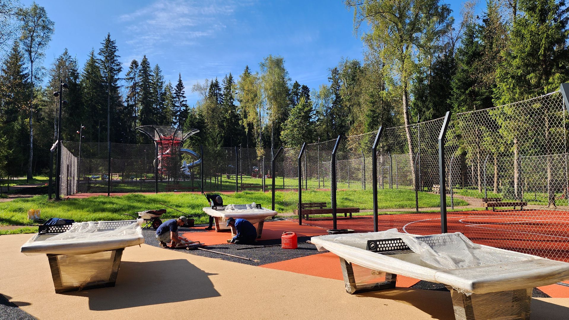 истра, благоустройство, лесопарк,