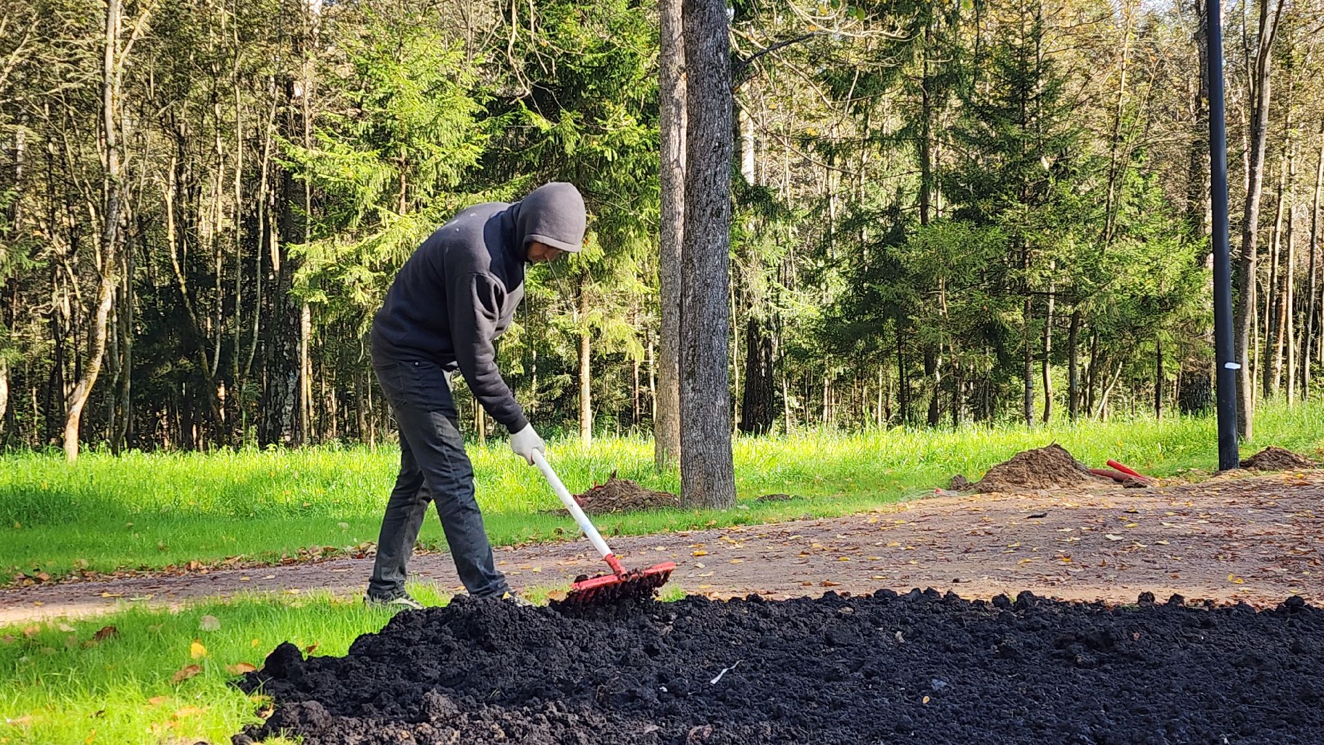 истра, благоустройство, лесопарк,