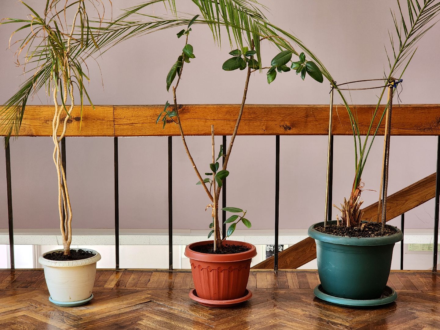 капитальный ремонт, цк акрихин, центр культуры, старая купавна, богородский городской округ,