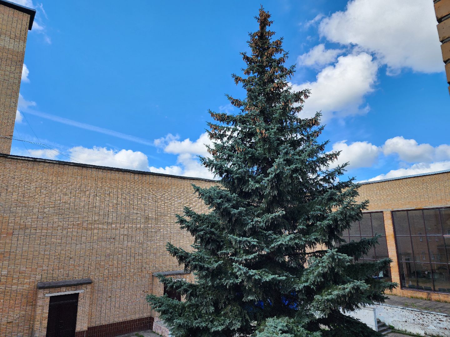 капитальный ремонт, цк акрихин, центр культуры, старая купавна, богородский городской округ,