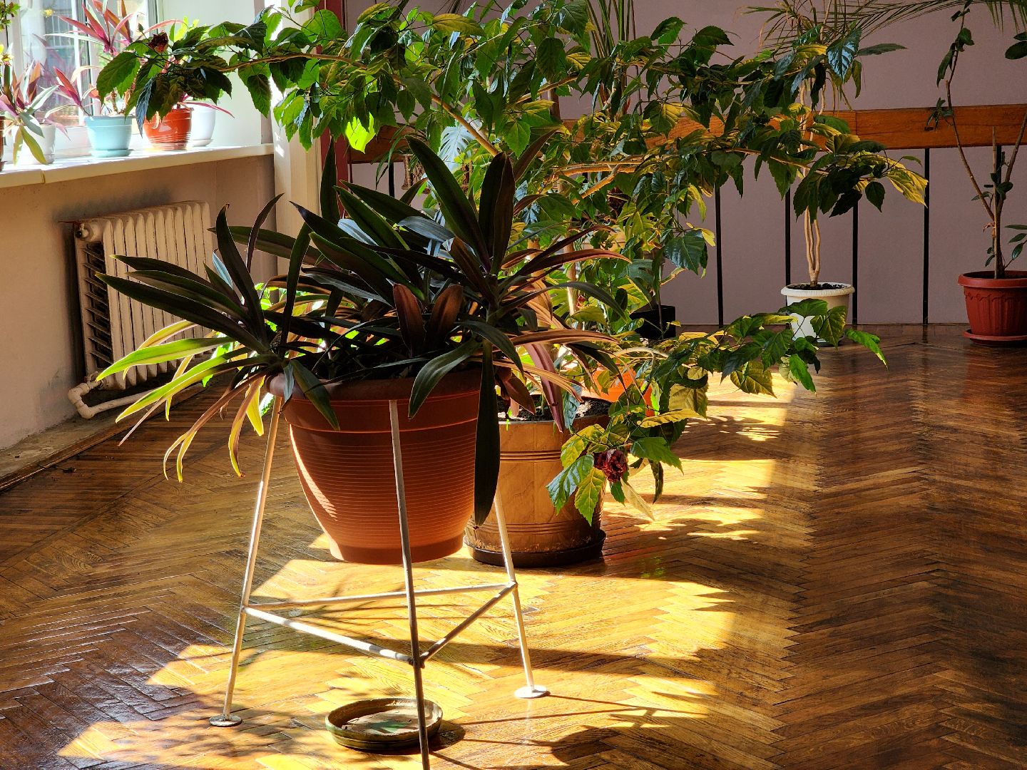 капитальный ремонт, цк акрихин, центр культуры, старая купавна, богородский городской округ,