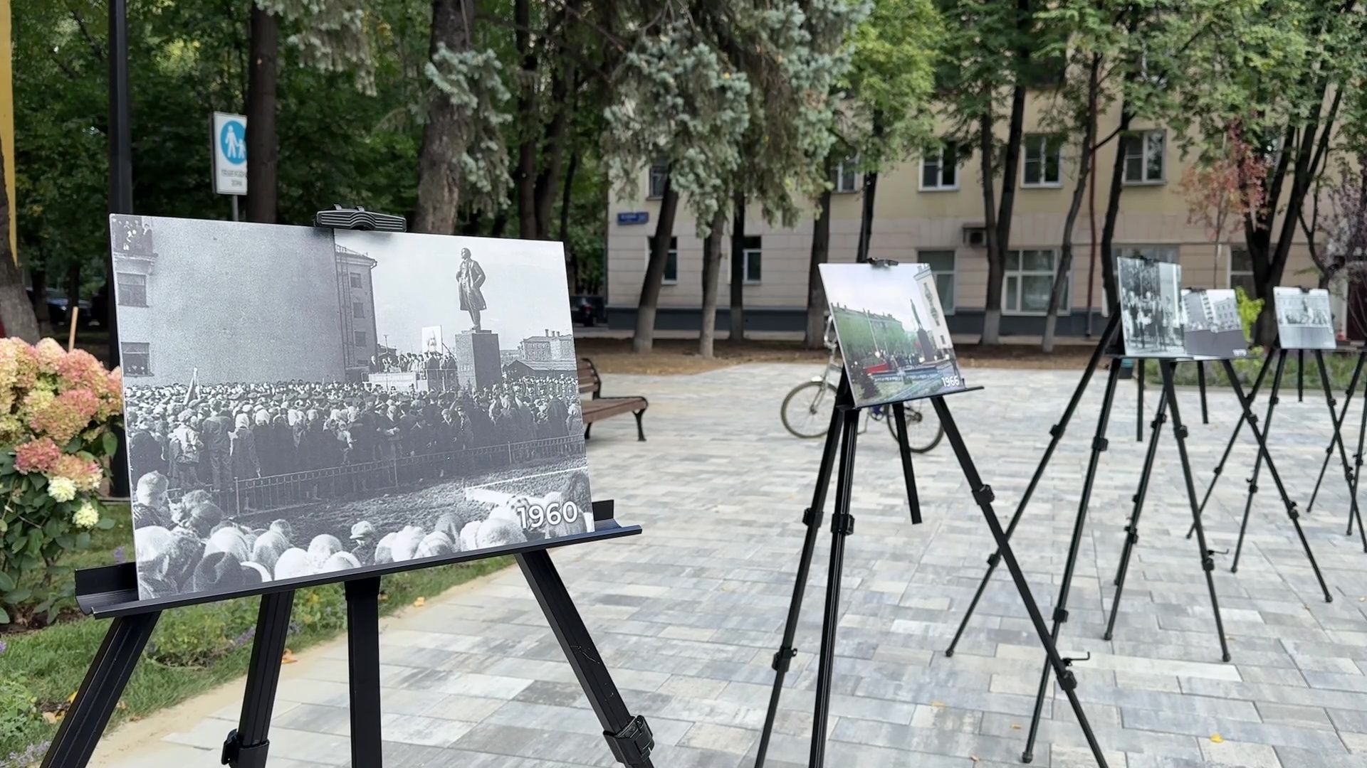 Реутов, сквер, посадка деревьев, бонсай,