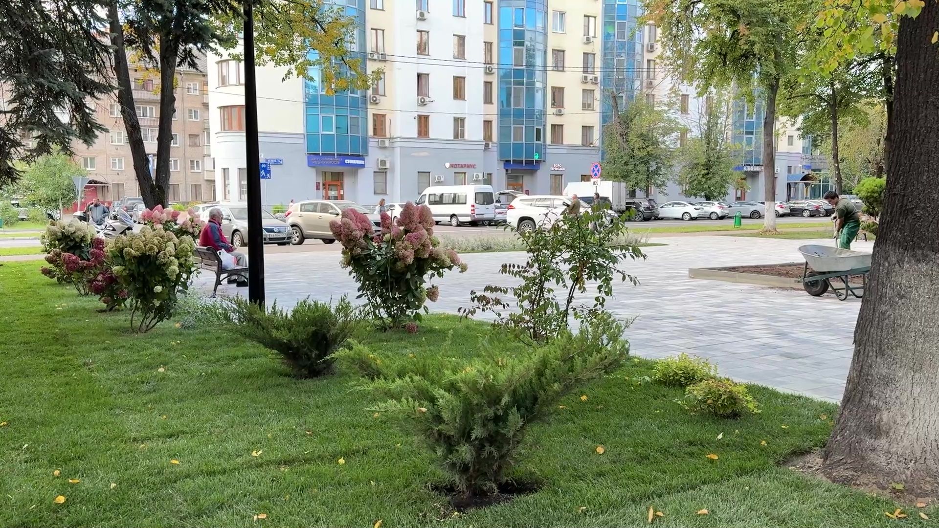 Реутов, сквер, посадка деревьев, бонсай,