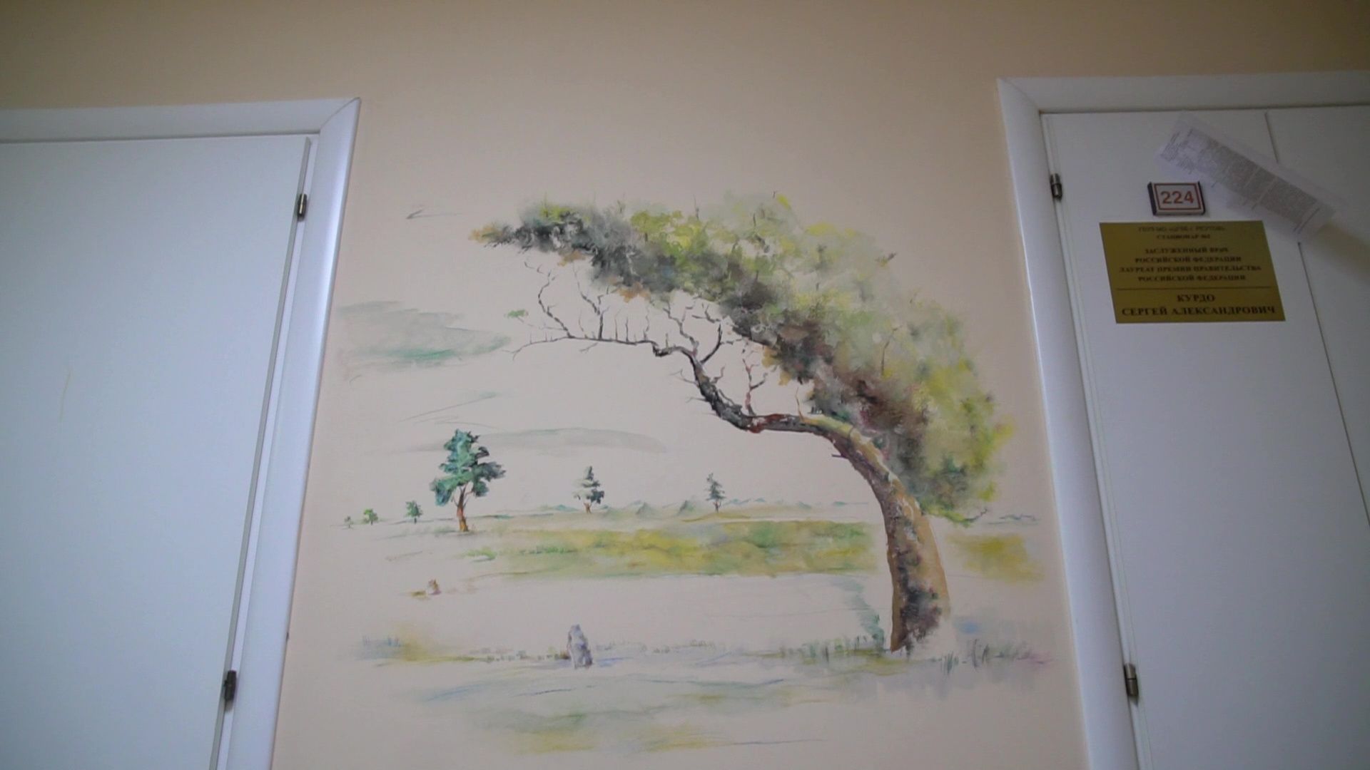 Реутов, медицина, здравоохранение, благодарный пациент, рисунки на стенах,