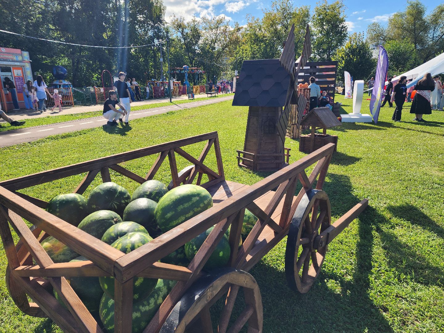 солнечногорск, праздник , жители , сенеж, город,