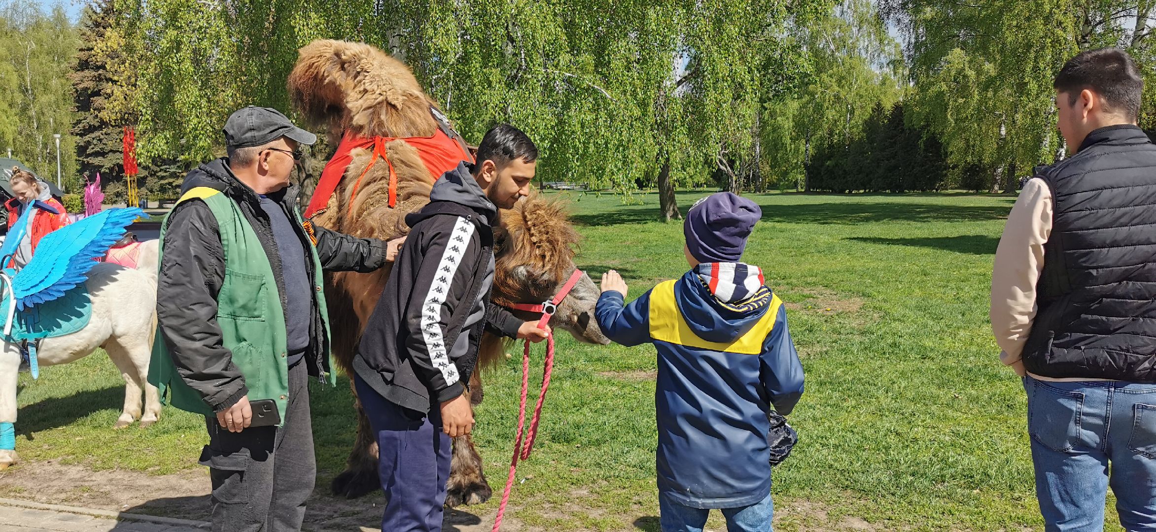 день победы,