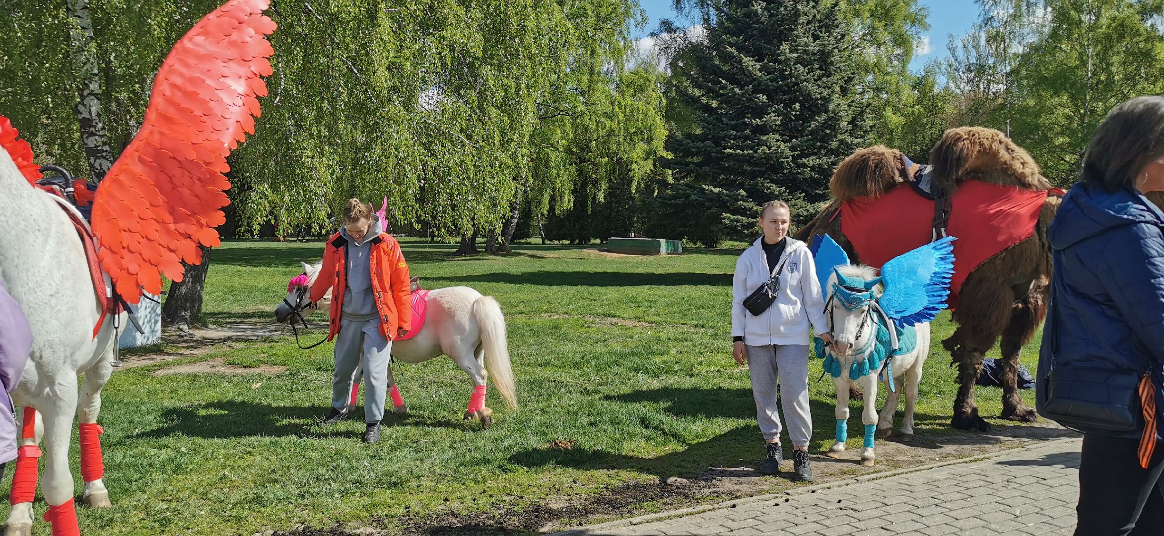 день победы,