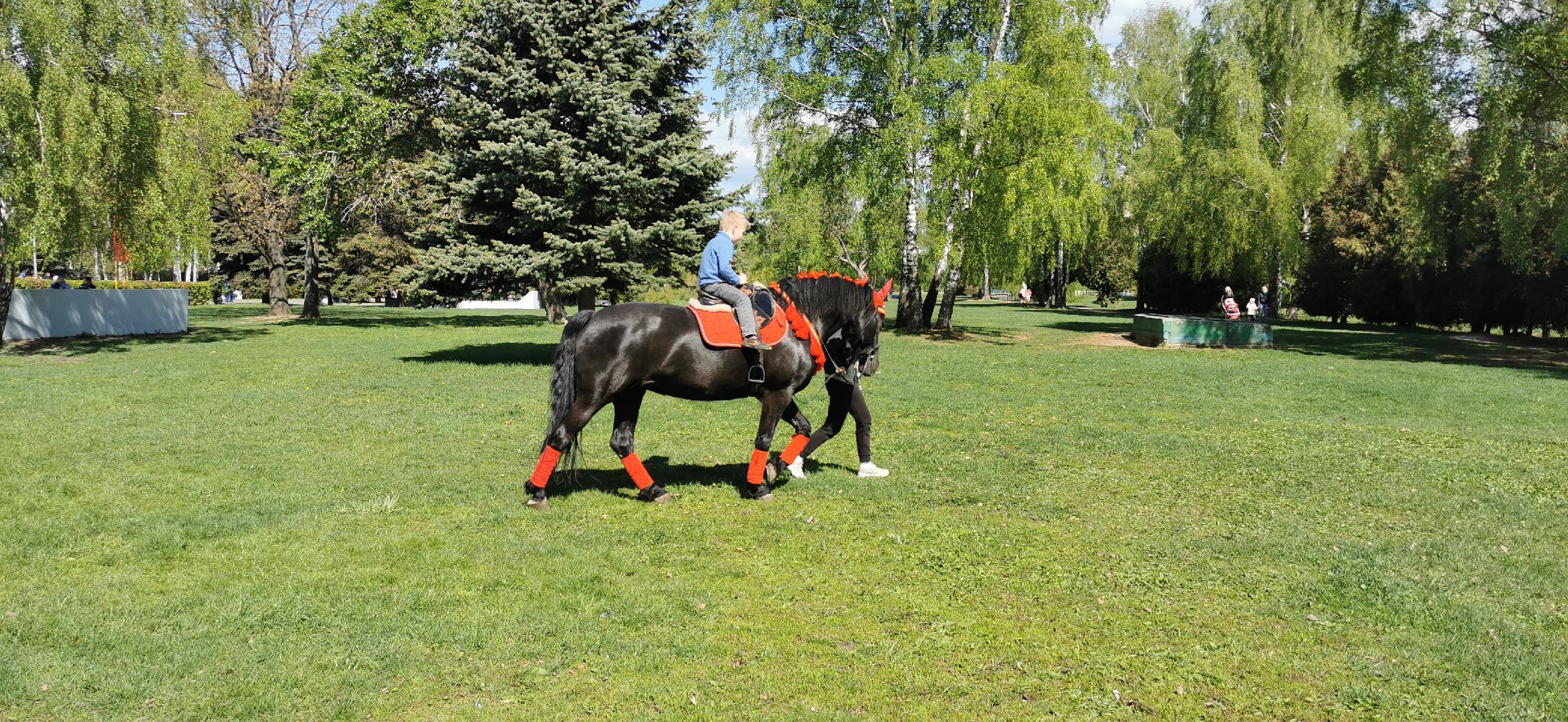 день победы,